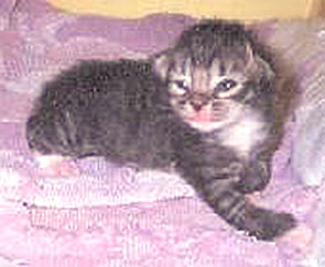me when i first came home at 2 weeks old