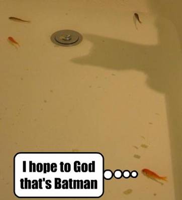 Fish & Batman.jpg