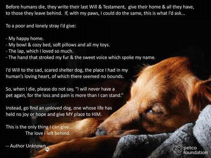 last will an testament of a dog.bmp