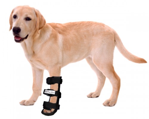 http://www.handicappedpets.com/walkin-wheels-dog-splint.html