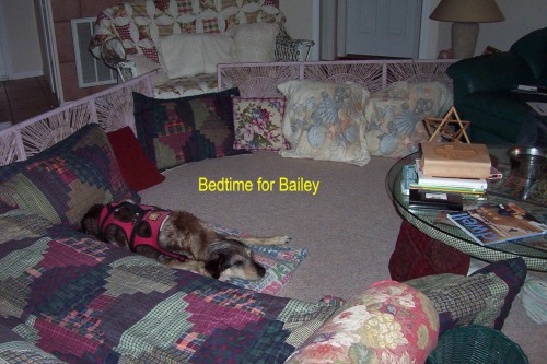 Bedtime for Bailey.jpg