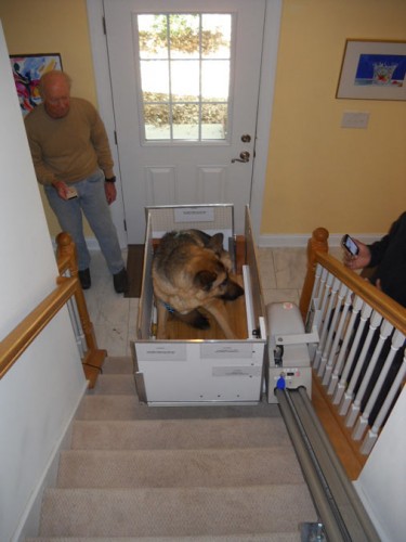Outer_Banks_stair_lift_dog_9.JPG