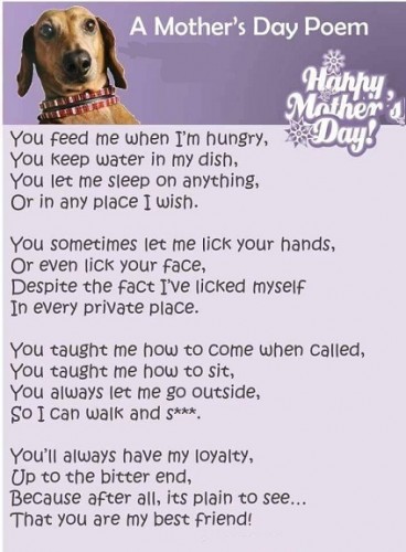 Dog Mothers Day