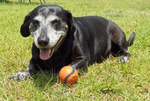 Skipper outside favorite ball