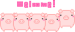 :welcomepigs: